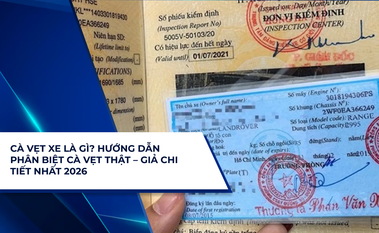 cà vẹt xe là gì